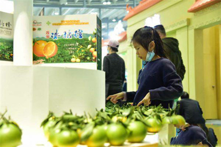 2021農(nóng)博會展臺布置